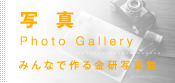 写真 - Photo Gallery